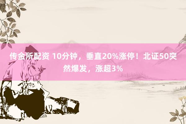 传金所配资 10分钟，垂直20%涨停！北证50突然爆发，涨超3%